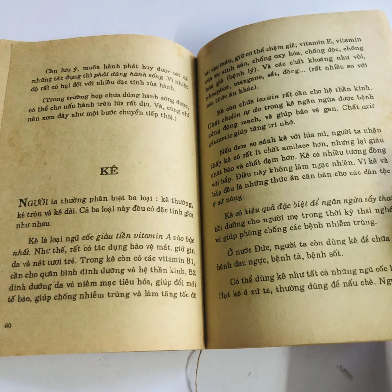 PHÒNG & CHỮA BỆNH BẰNG RAU CỦ QUẢ ( Bs Đông A) 573490