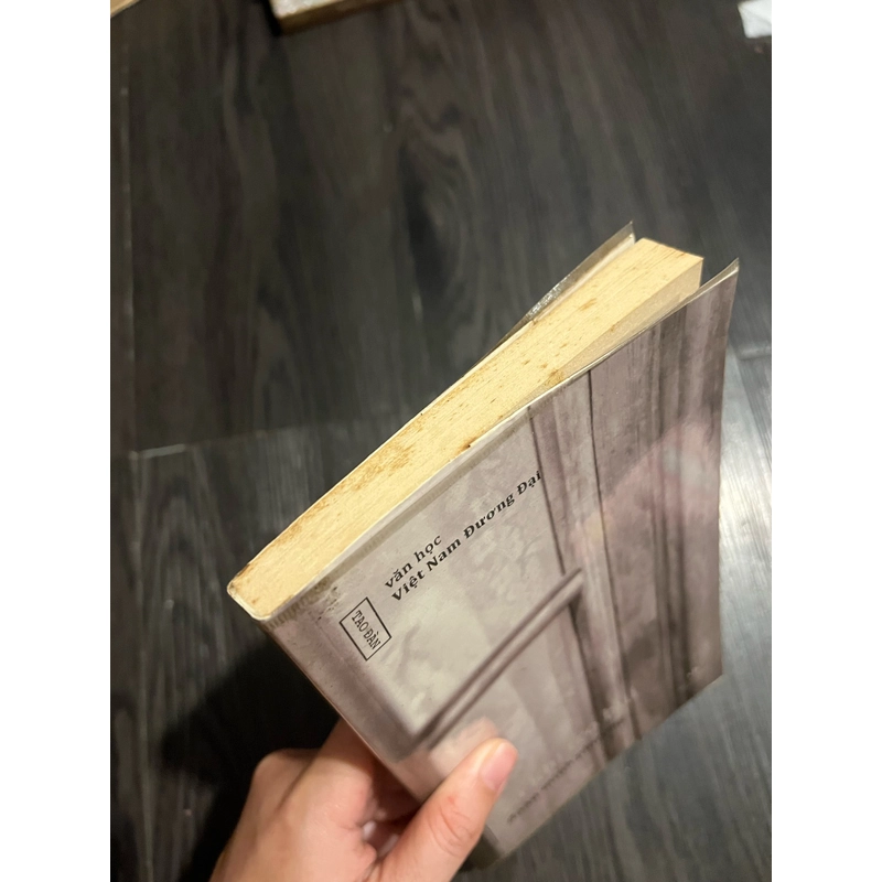 Và khi tro bụi - Đoàn Minh Phượng 314809