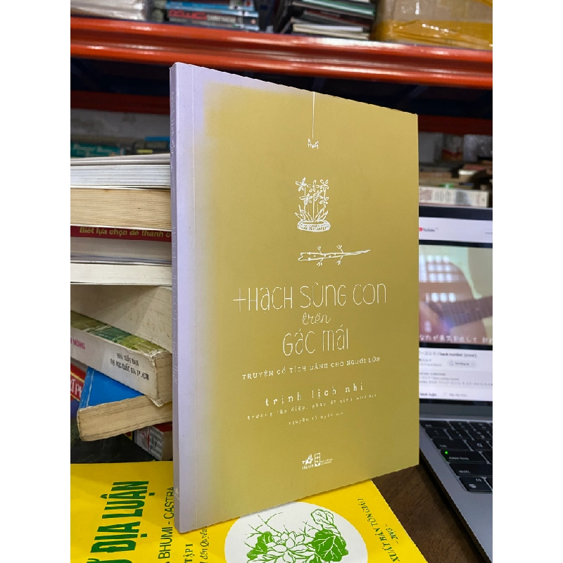 Thạch sùng con trên gác mái - Trình Lịch Nhi 474566