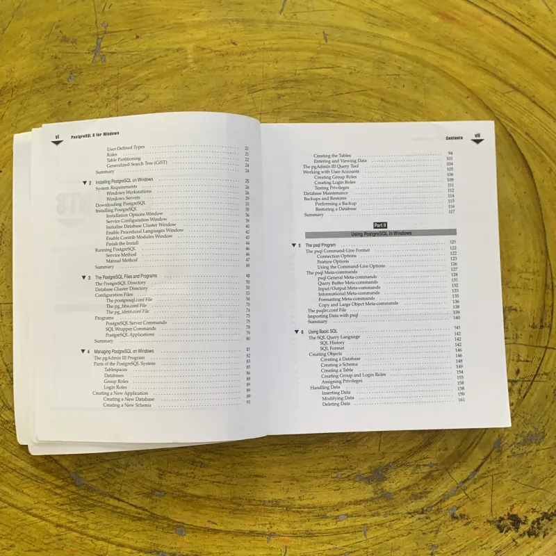 PostgreSQL 8 FOR WINDOWSr - RICHARD BLUM 1004318