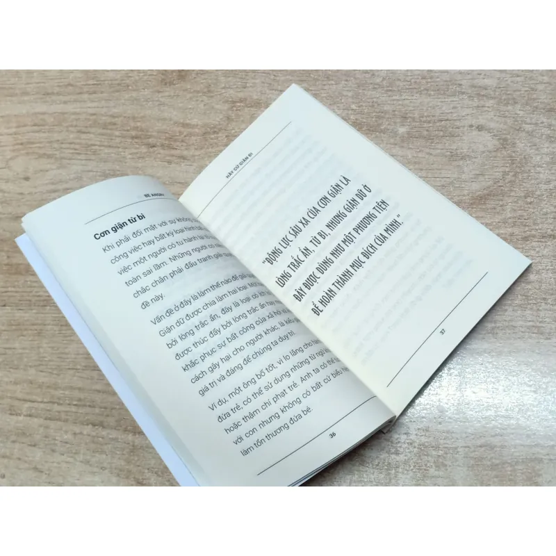 Be Angry - Hãy Cứ GIẬN Đi - Đức Đạt Lai Lạt Ma & Noriyuki Ueda 782827