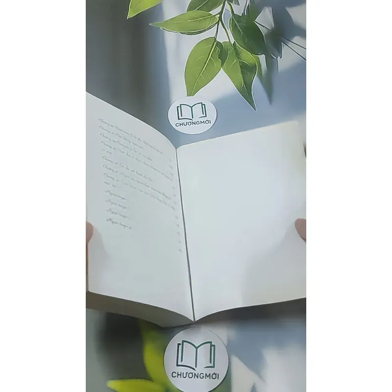 Sự nhầm lẫn tai hại - Bộ Vi Lan 688633