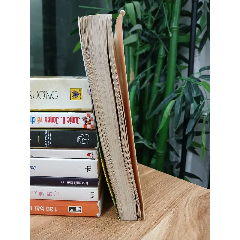 Thần Điêu Hiệp Lữ (Tập 2) – Kim Dung 574095