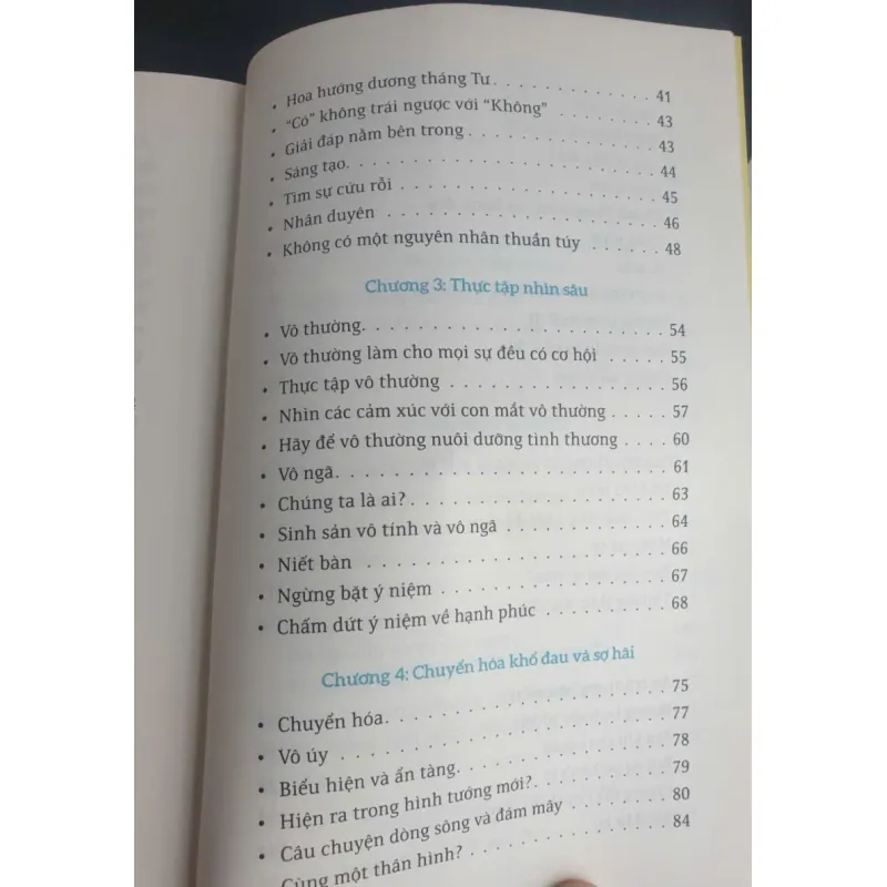 Không Diệt Không Sinh Đừng Sợ Hãi 732847