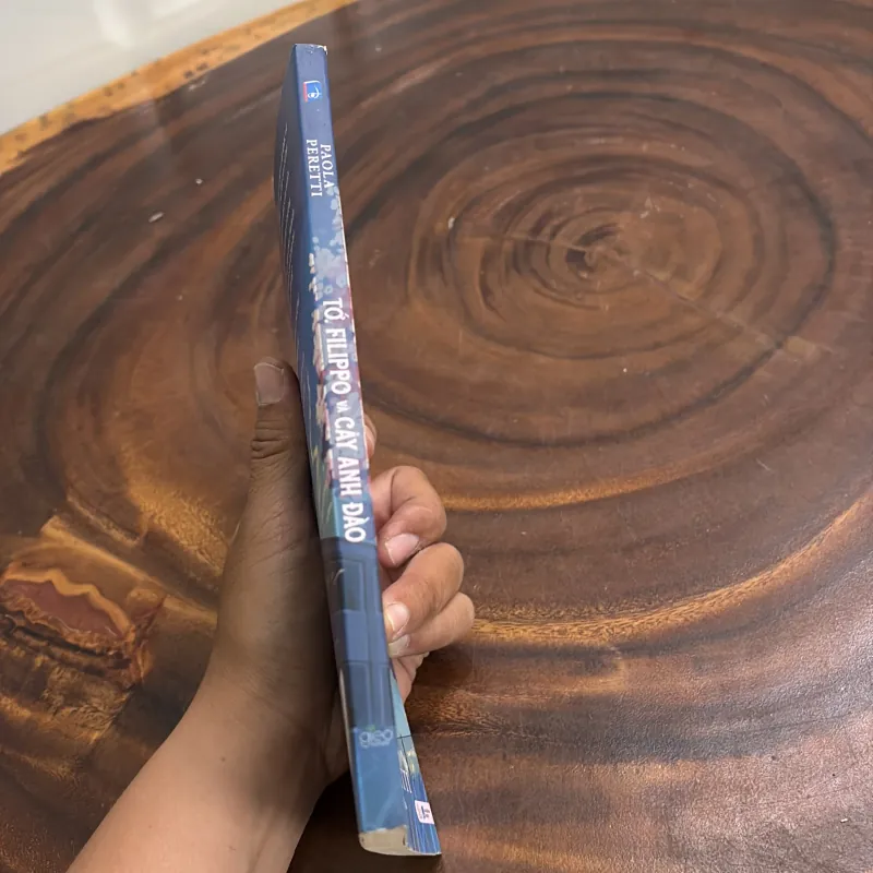 II Văn Học: Tớ Flippo Và Cây Anh Đào - PAOLA PERETTI - 2023 977259