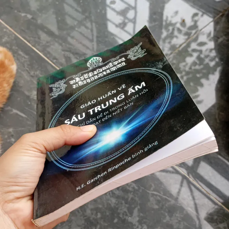 Giáo huấn về sáu cõi trung ấm  786654