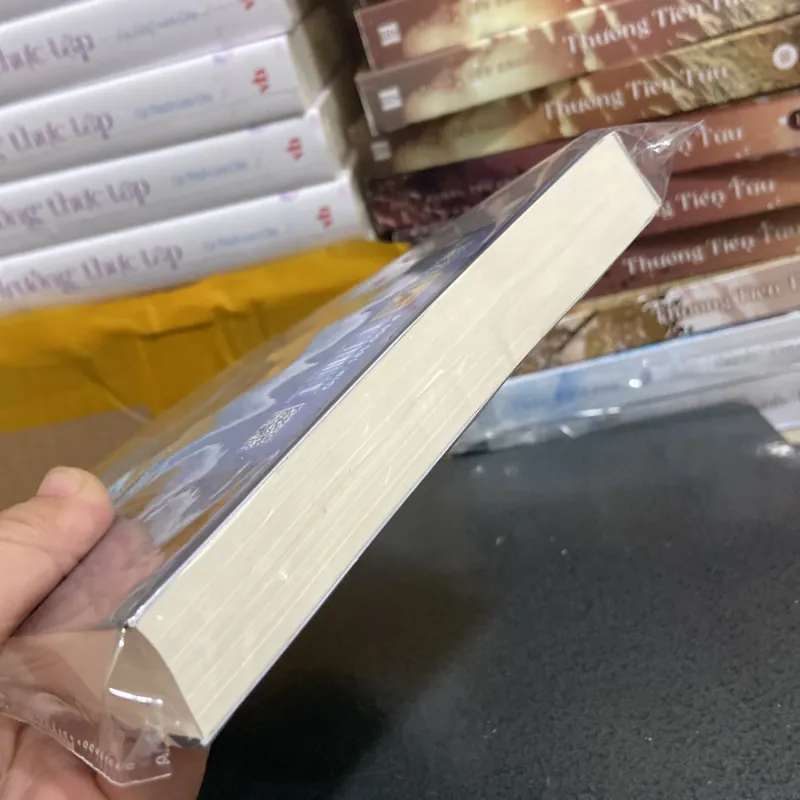 (Văn học kinh điển) - Nhà có bảy đầu hồi - Nathaniel Hawthorne 976153