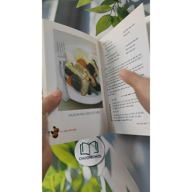 Salad Thon Người - Salad & Những Thực Phẩm Ăn Không Sợ Mập - Vũ Mai Ly & Nguyễn Xuân Quy 727252