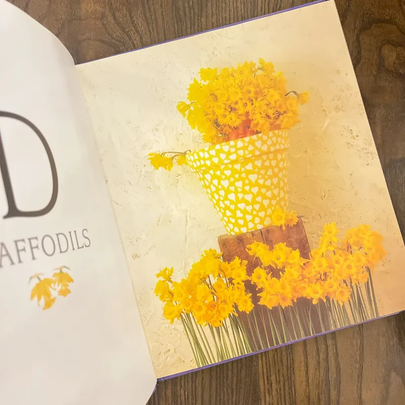 ✨𝑫𝒐𝒘𝒏 𝒊𝒏 𝒕𝒉𝒆 𝑮𝒂𝒓𝒅𝒆𝒏 𝑨𝒍𝒑𝒉𝒂𝒃𝒆𝒕 𝑩𝒐𝒐𝒌✨ 693172