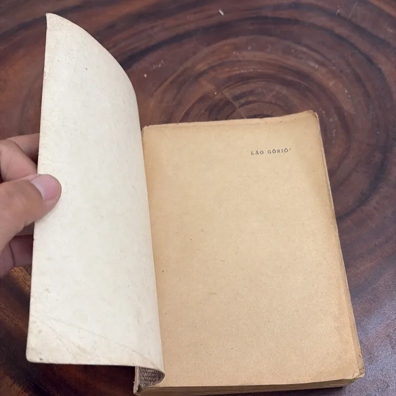 II Văn Học Pháp: Lão Gôriô - ÔNÔRÊ ĐƠ BANZĂC - 1976 1008502