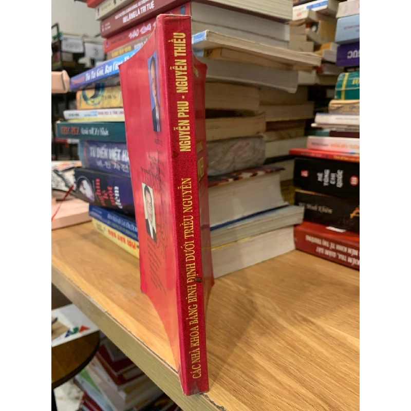 Các nhà khoa bảng Bình Định dưới triều Nguyễn -Nguyễn Phu, Nguyễn Thiều 757135