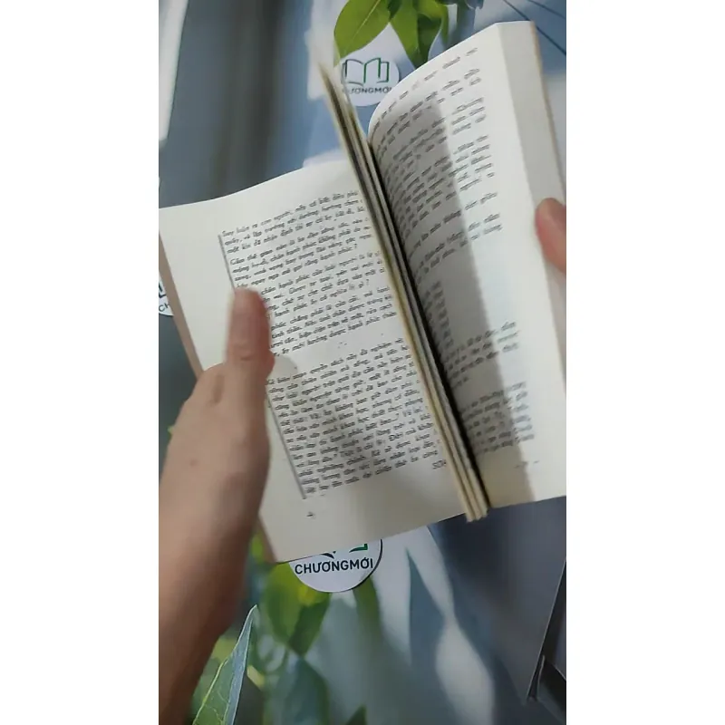 [MIỄN PHÍ BỌC SÁCH] Sấm Trạng Trình Dẫn Giải 928570