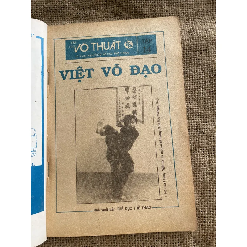 Võ thuật - Việt võ đạo  707358