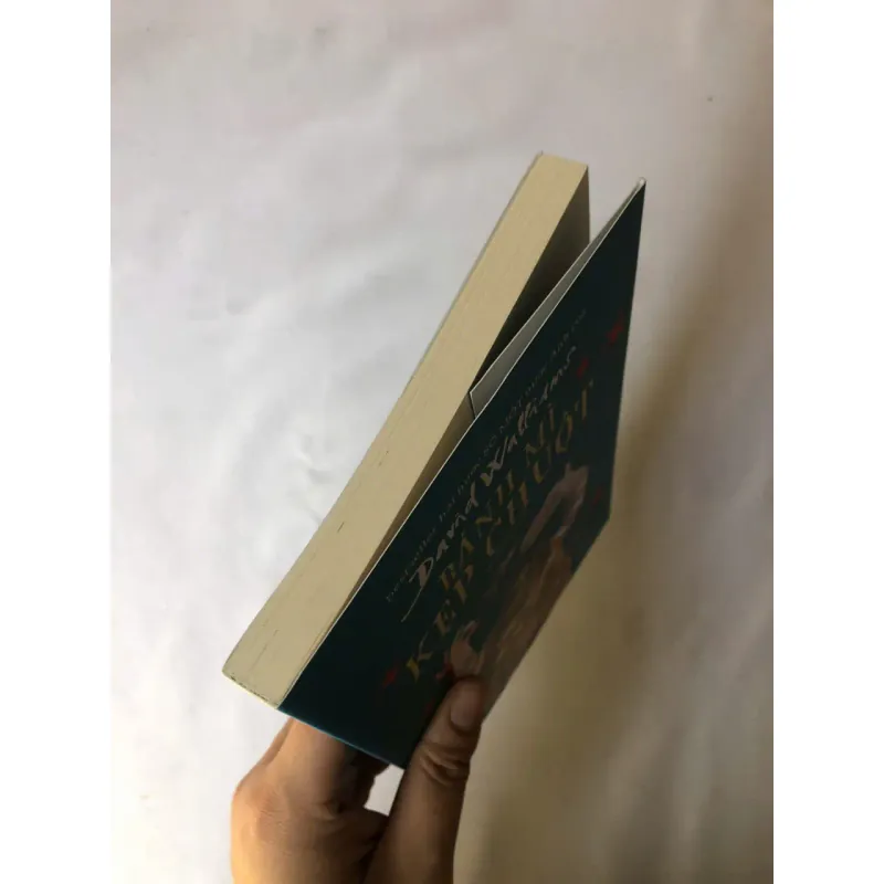 Bánh Mì Kẹp Chuột - David Walliams 740833