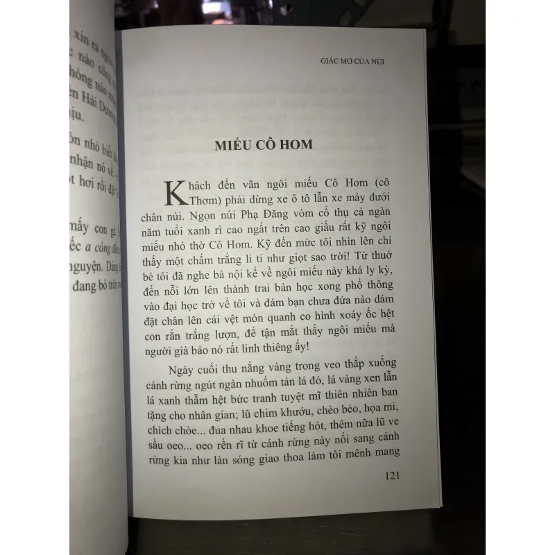 Giấc mơ của núi - Đoàn Ngọc Minh 779022