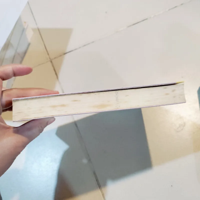 Sơn nam và tô nguyệt đình chuyện xưa tích cũ 596303