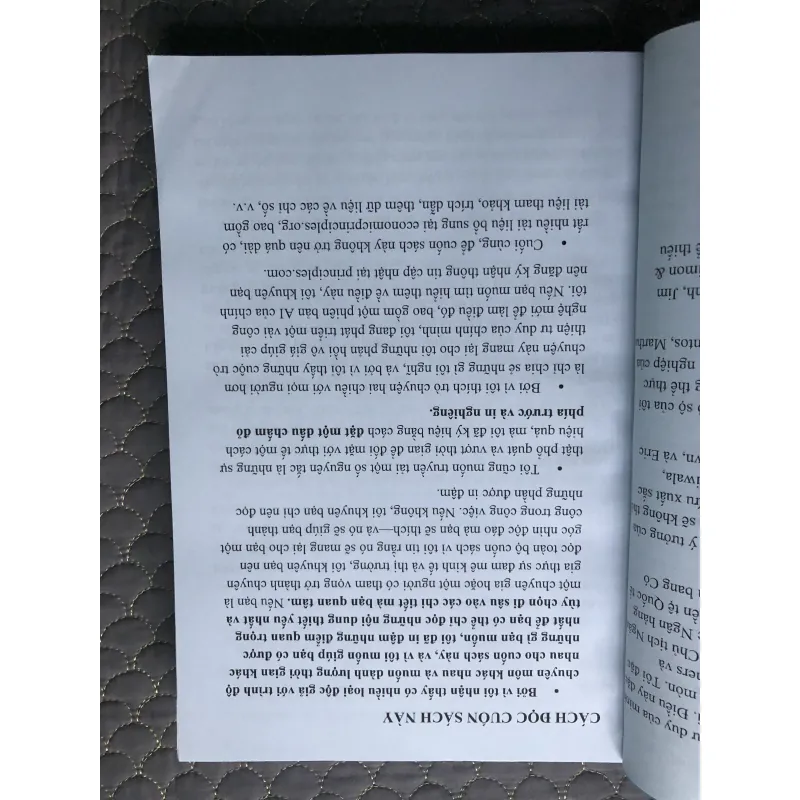 ( Bản Dịch Tiếng Việt ) RAY DALIO - Sách HOW COUNTRIES GO BROKE THE BIG CYCLE 973246