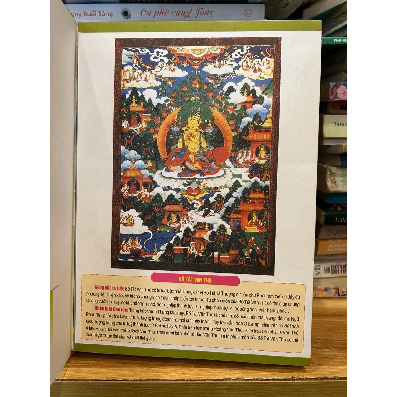 Bản tôn biện tài trí tuệ-Chu Tước Nhi dịch 786281