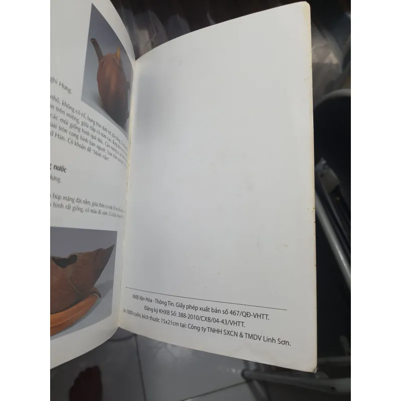 Cổ vật gốm sứ Trung Quốc 1000754