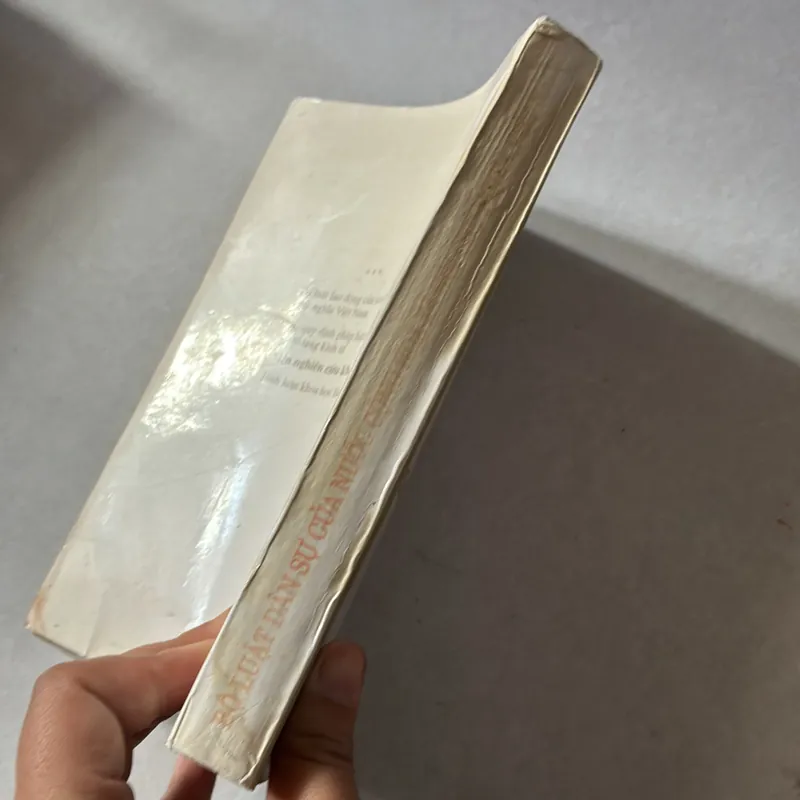 Bộ luật dân sự 1995s 739380