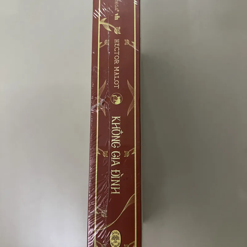 Không Gia Đình 576913