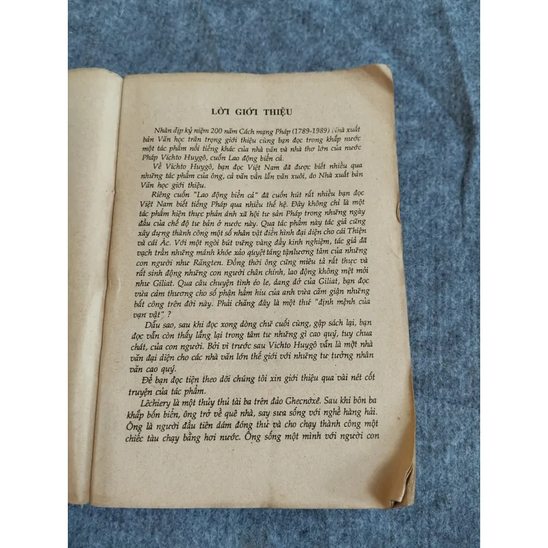 LAO ĐỘNG BIỂN CẢ - VICTOR HUGO 574657