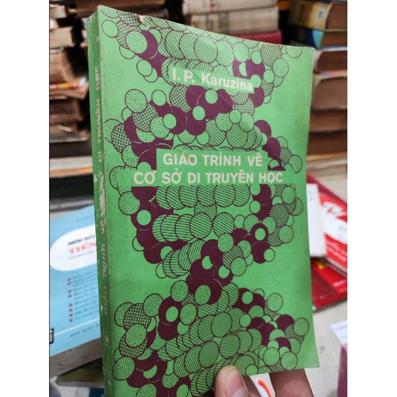 Giáo trình về cơ sở di truyền học - I.P. Karuzina 129730