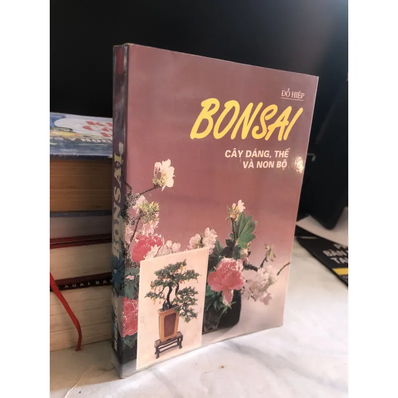 Bonsai - Cây dáng, thế và non bộ - Đỗ Hiệp  1032663