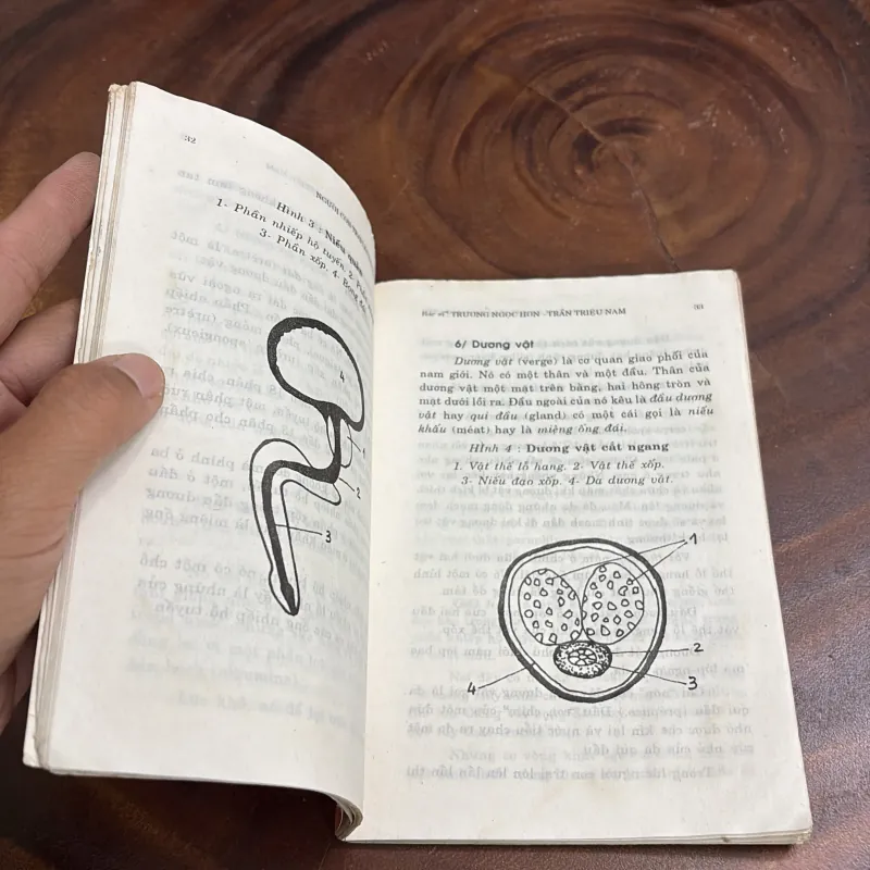 [Cạnh Trên Có Chút Mốc] - II Người Con Trai Lấy Vợ Cần Biết - 1996 998054