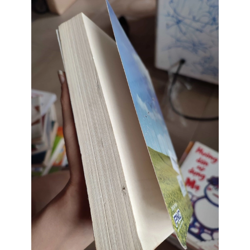 Điện gióHCM01/03 910250