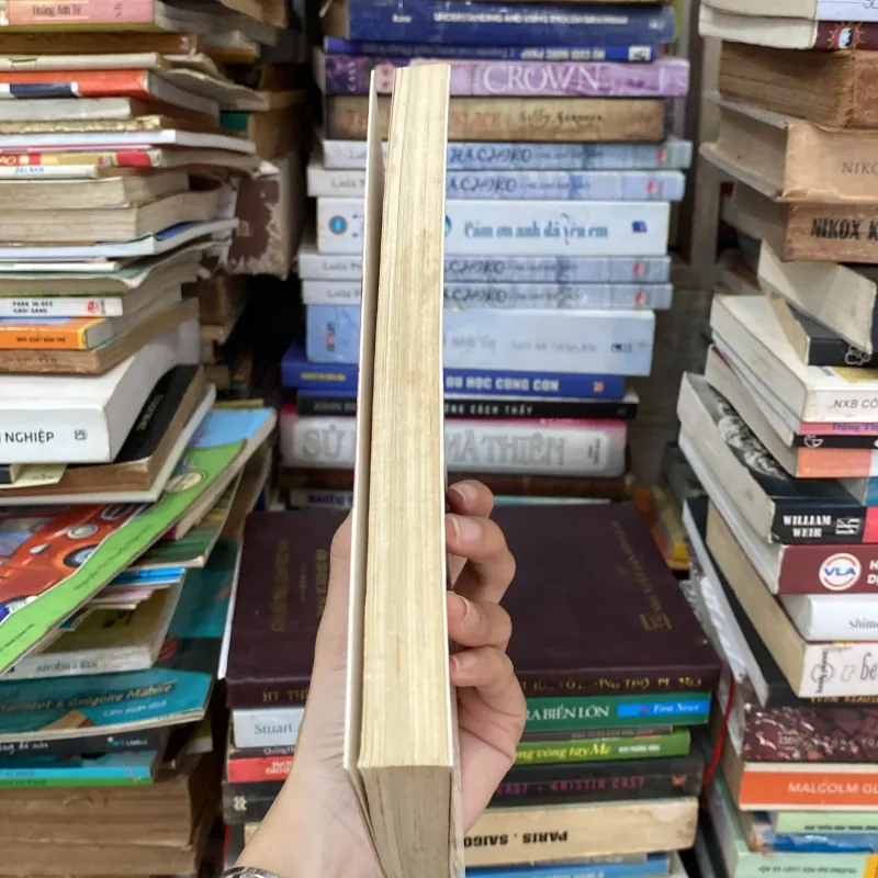 Ánh Nến - Trịnh Công Sơn♟️ 778279