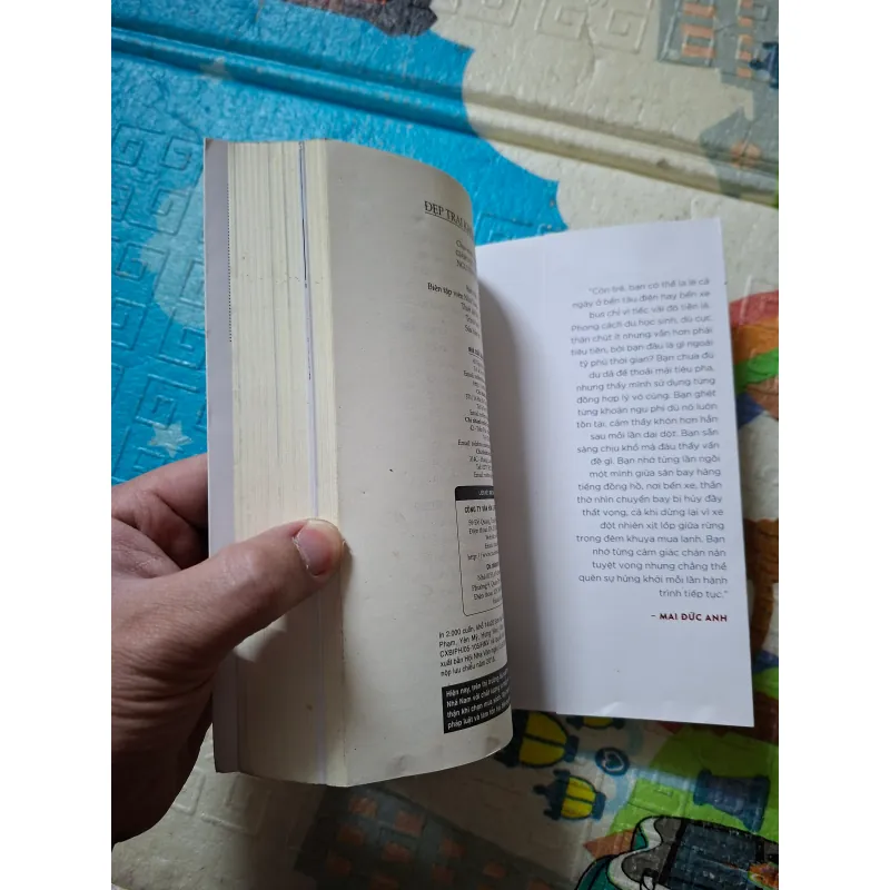 Đẹp trai không ngại đi Mỹ 934600