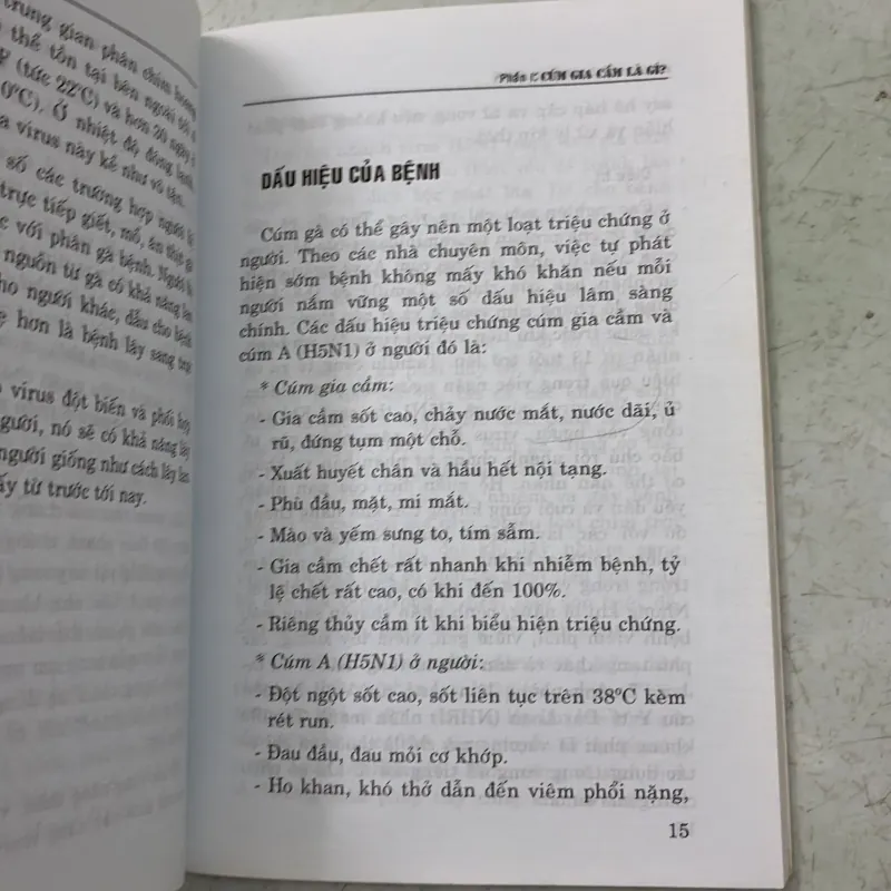 Đại dịch cúm gia cầm 1009858