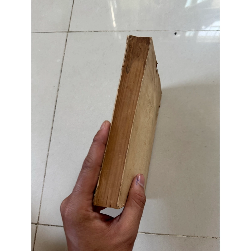 Kiều nguyễn du 539202