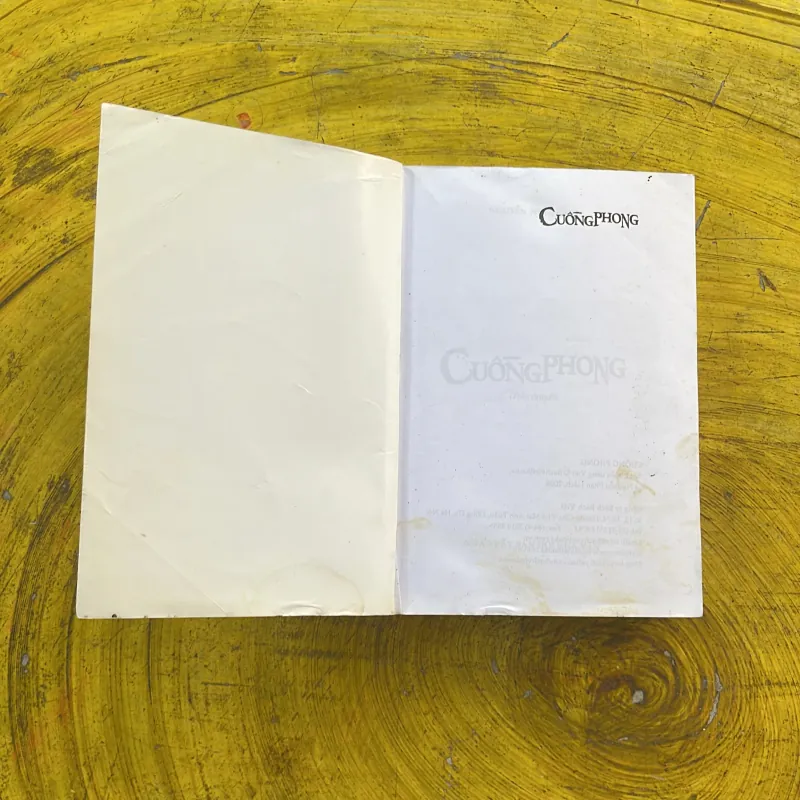 CUỒNG PHONG - nguyễn phan hách 974759