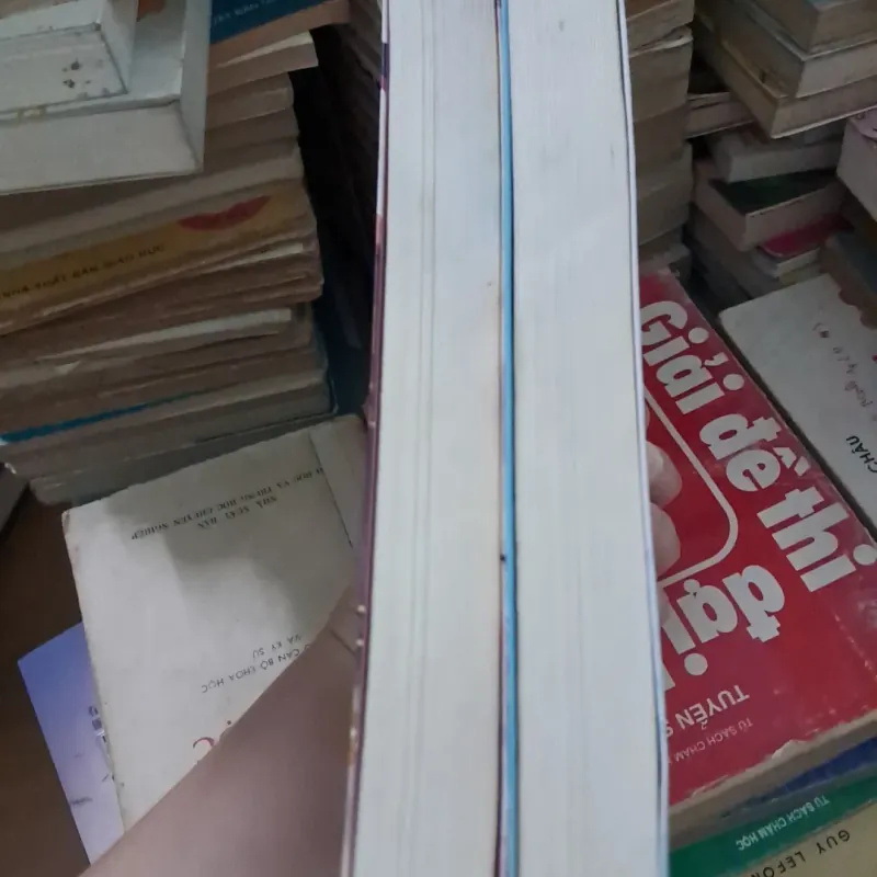 Thê vi thượng 1021279