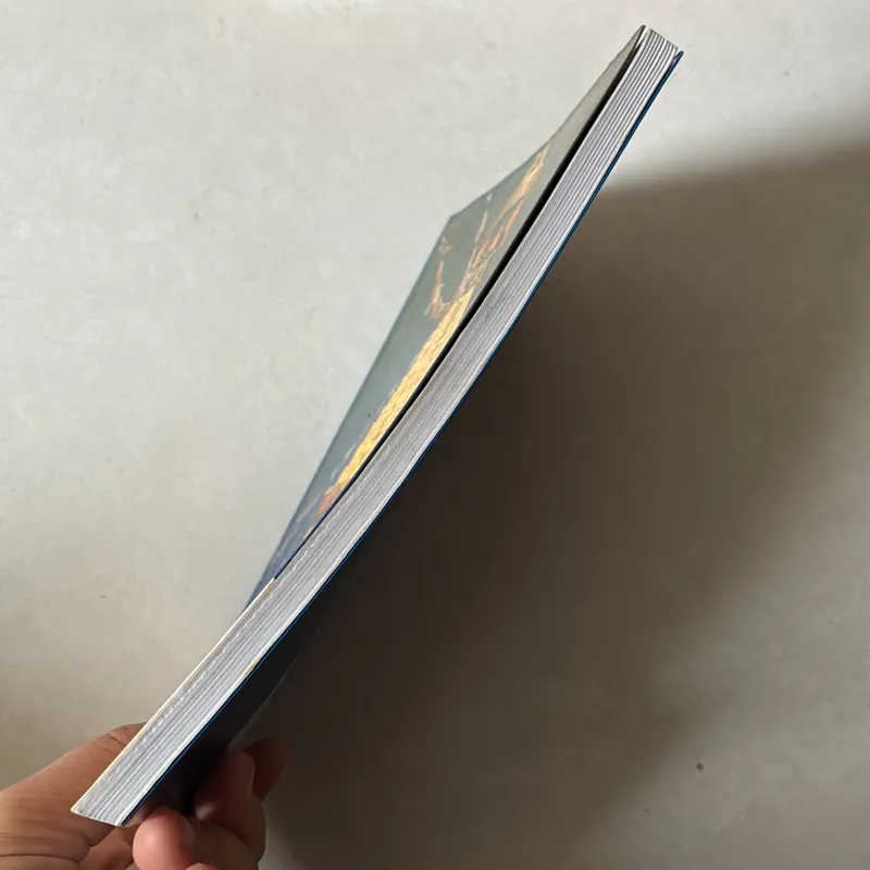 Chết, vào thân trung ẩm và tái sinh theo Phật giáo Tây Tạng  756715