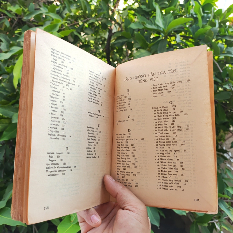 Cá Biển Việt Nam - The Marine Fishes Of VietNam - Tập 1 526446