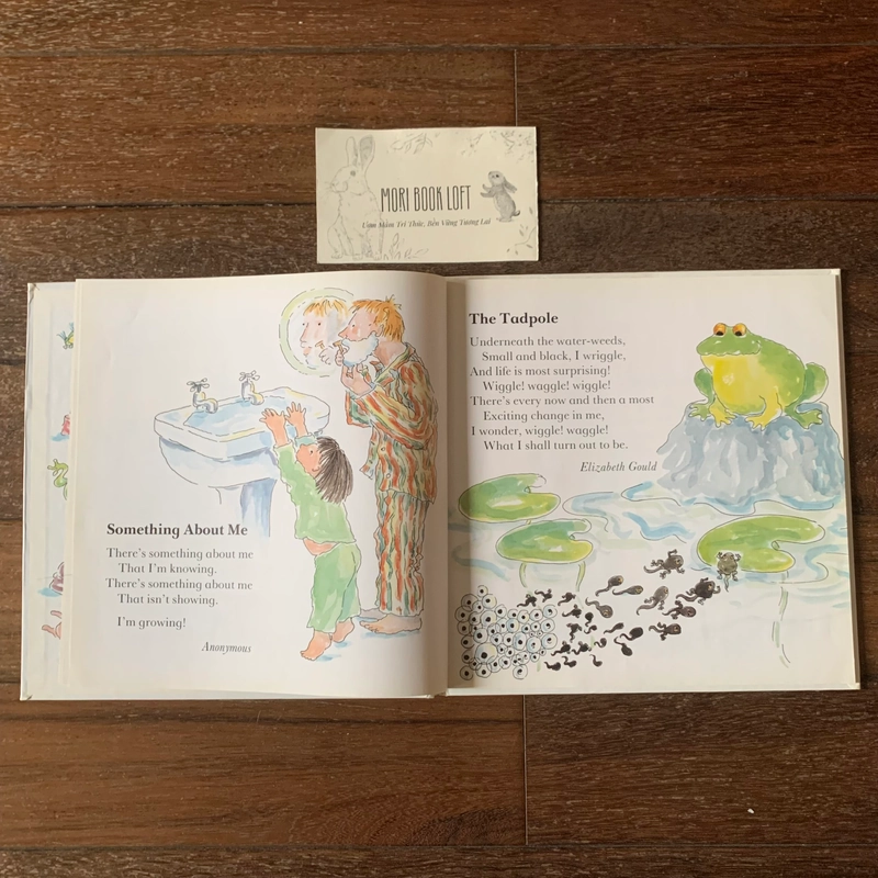 Sách ngoại văn Catch It If You Can: Nursery Verses (1989), Used, Bìa cứng, Khổ Lớn 498834