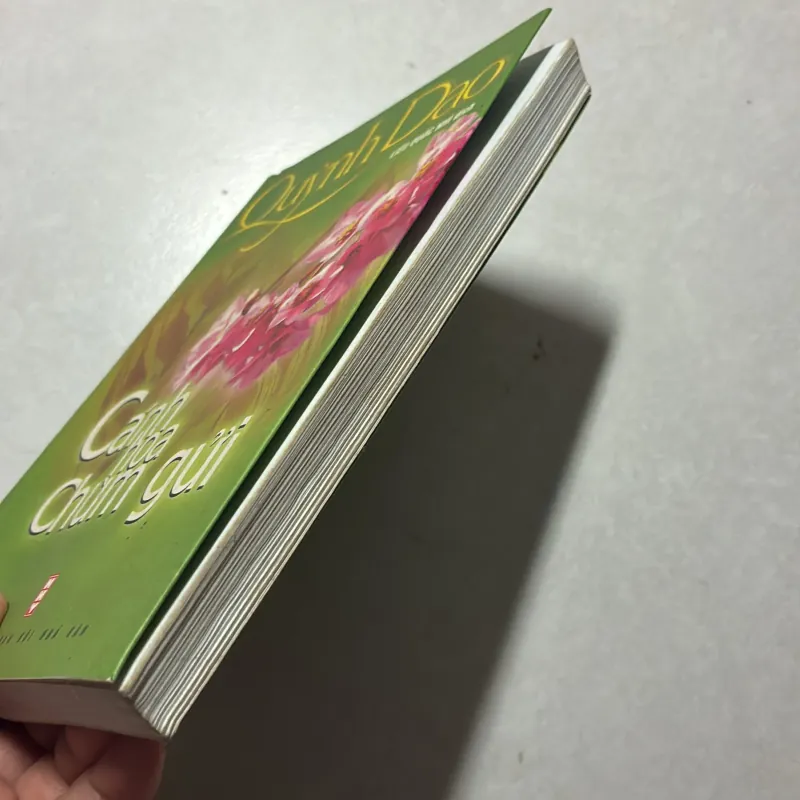 Cánh hoa chùm gửi - Quỳnh Dao 791923