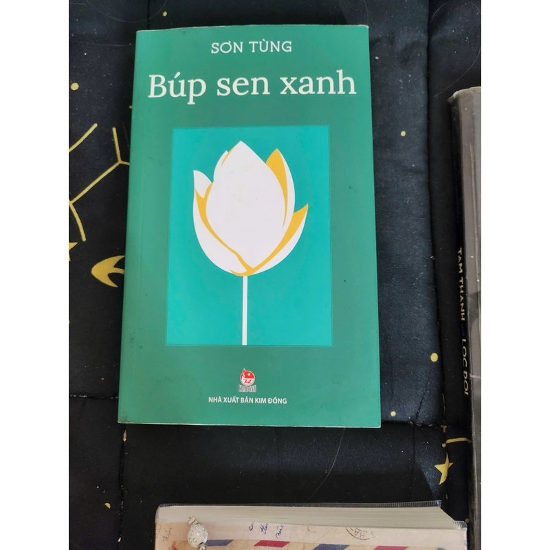 BÚP SEN XANH - Sơn Tùng 543066