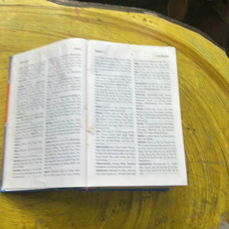 COMBO TỪ ĐIỂN ANH - VIỆT & TỪ ĐIỂN VIỆT - ANH - BÙI PHỤNG 695756