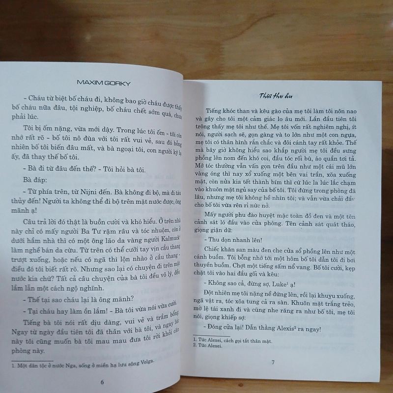 Thời Thơ Ấu - Maxim Gorky 398371