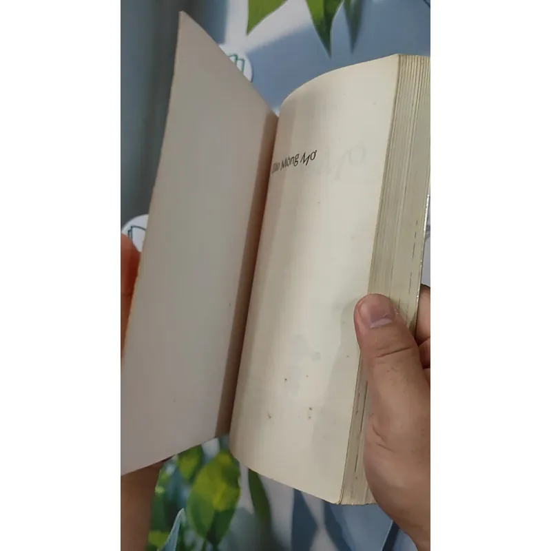 Đảo Mộng Mơ - Nguyễn Nhật Ánh 798358