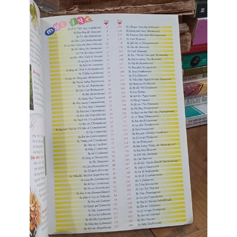 365 Loài Hoa Cảnh - Thiên Kim 1067510