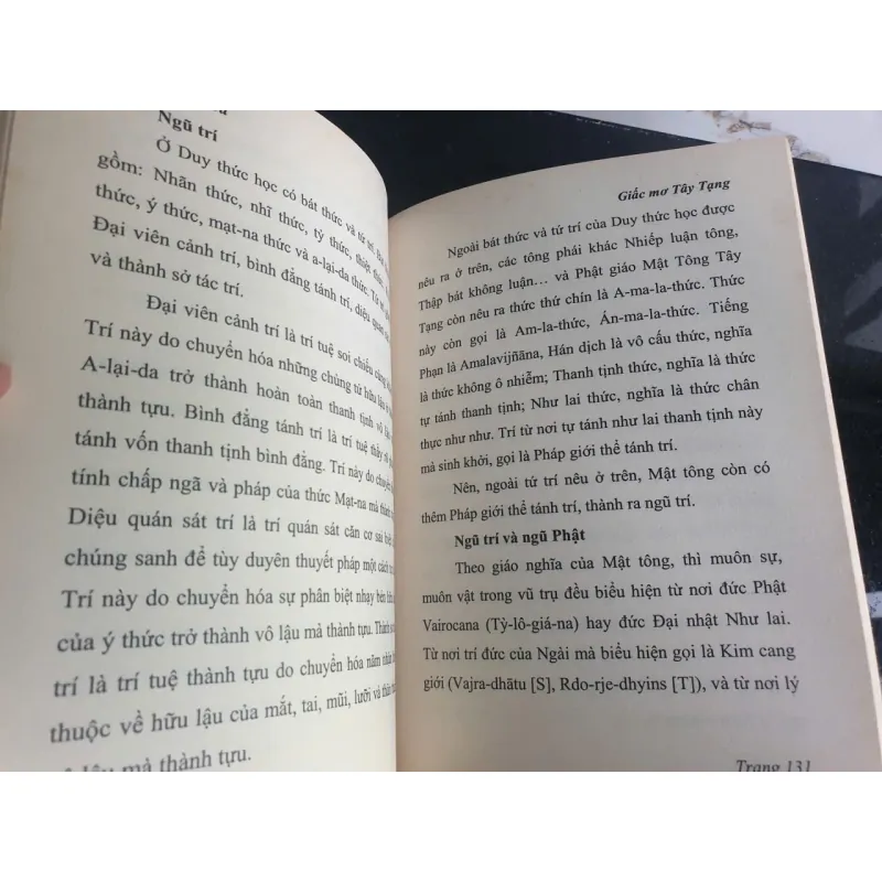 Giấc mơ Tây Tạng - Thích Thái Hòa cuốn sách về văn hóa và lịch sử 694115