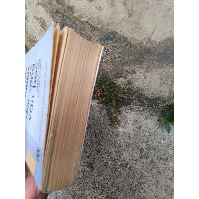 Cách mạng, kháng chiến và đời sống văn học 1945 - 1954 1019195