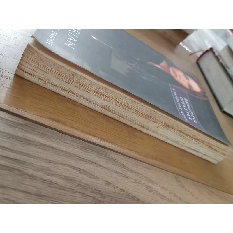 Beautiful disaster - Kate Brian 597301