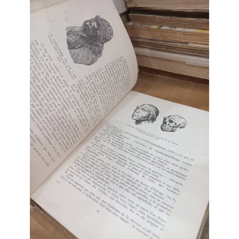 Comment l'homme est devenu un géant - M. Iline et E. Ségal 1025857