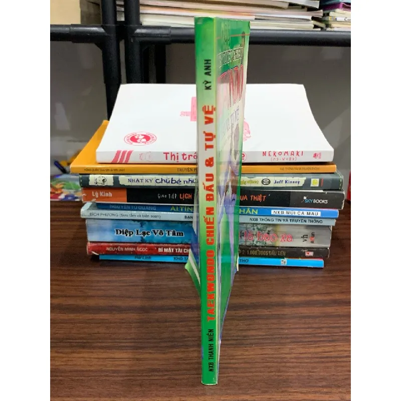 Taekwondo bài quyền tự luyện W.T.F – Võ sư Trần Hữu Nhân 604253